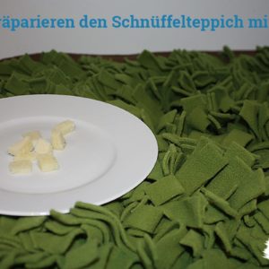 schnueffelteppich-mit-kaese